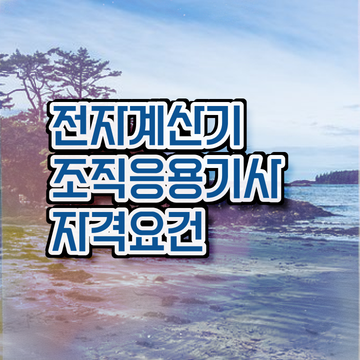  전자계산기조직응용기사 자격 요건 전자계산기조직응용기사 자격요건 학점은행제로 간편하게 준비한 전략