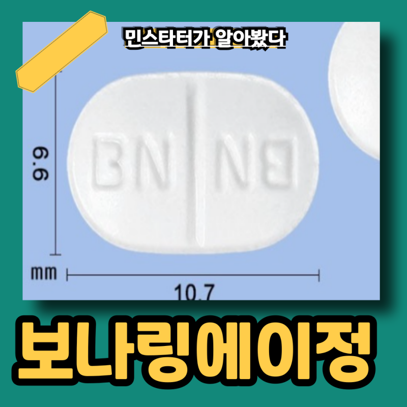 보나링에이정 멀미약 부작용 효과 먹는법