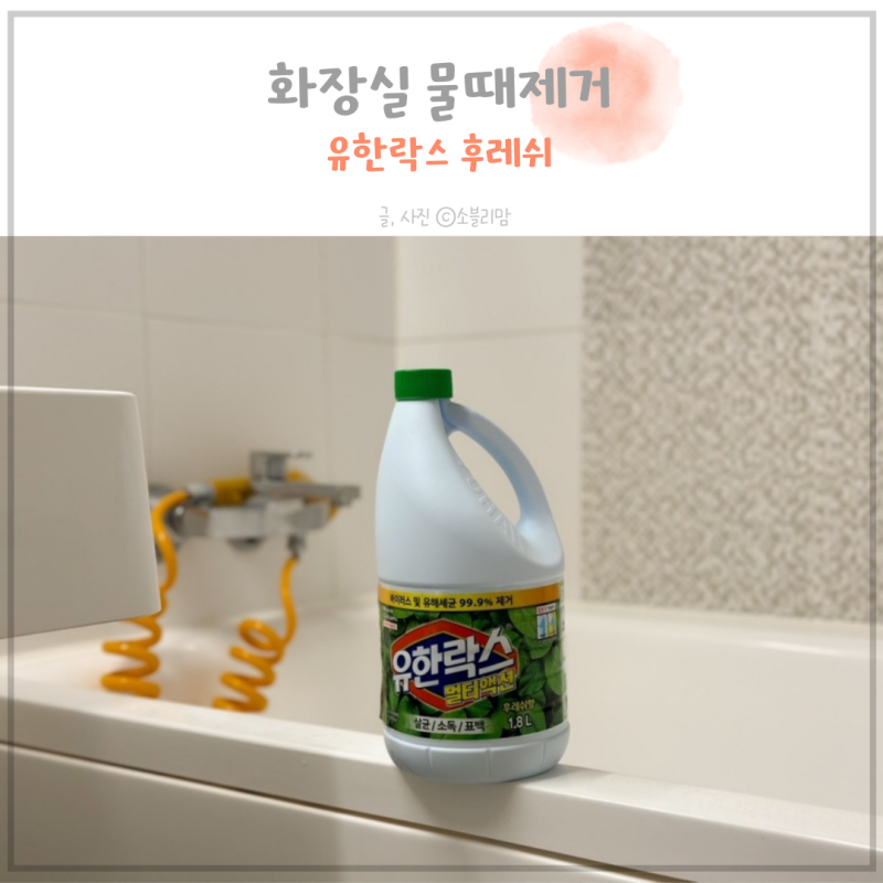 유한락스 후레쉬 냄새 욕실 화장실 바닥 물때 제거 청소 락스 희석 비율