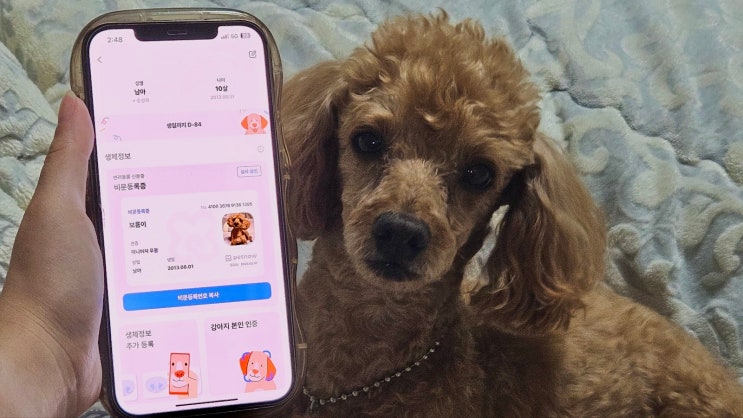  세계최초, 강아지와 고양이 생체 정보 등록 가능한 '펫나우비문등록증'