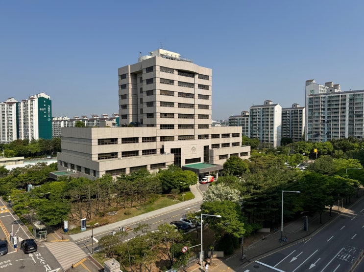  새마을금고 선거 이사장 연임할 수 없는 요건은?