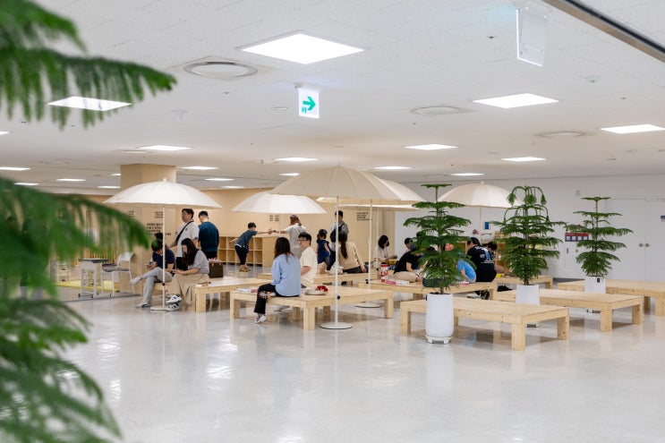  [용인문화재단] 아이와 함께 가볼만한 실내 놀이터, <용인어린이상상의숲>