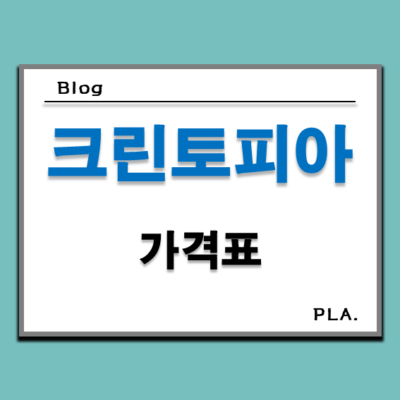  크린토피아 가격표 운동화 패딩 이불 와이셔츠 가방 모자 명품 세탁 가격