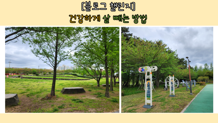  [블챌] 건강하게 살 빼는 나만의 방법