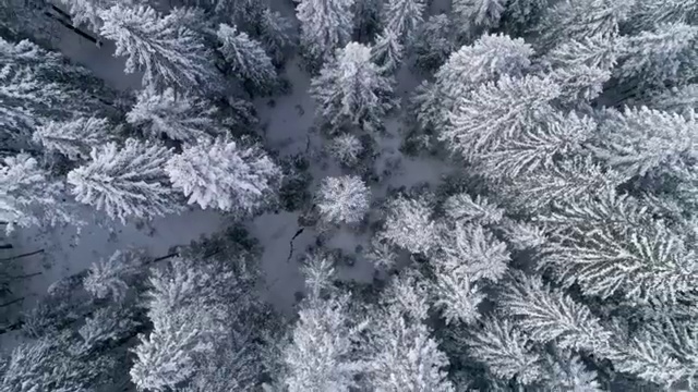  학점은행제 자격증 , 전문학습멘토 추천받고 목표였던 대학에 합격했습니다.
