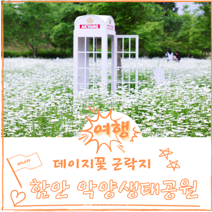  함안 악양생태공원 데이지 개화 위치 가는법 5월 여행