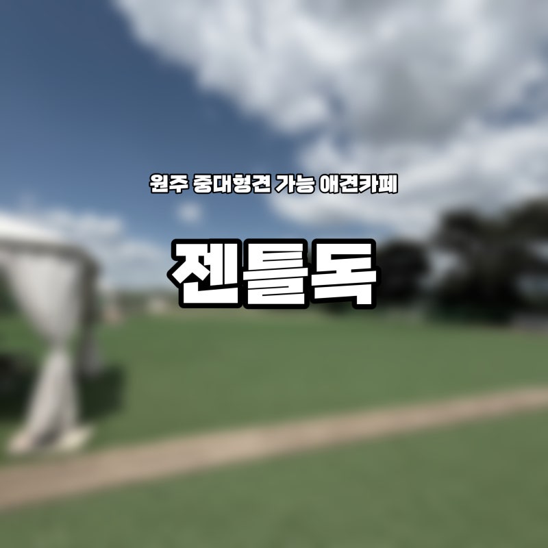 사진 3