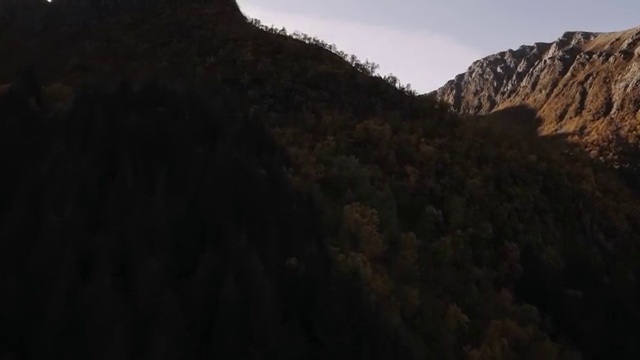  산림기사 후기 산림기사 자격요건 온라인 과정으로 5개월 만에 준비한 후기