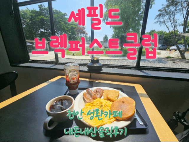  셰필드브렉퍼스트클럽 천안성환카페 내돈내산솔직후기