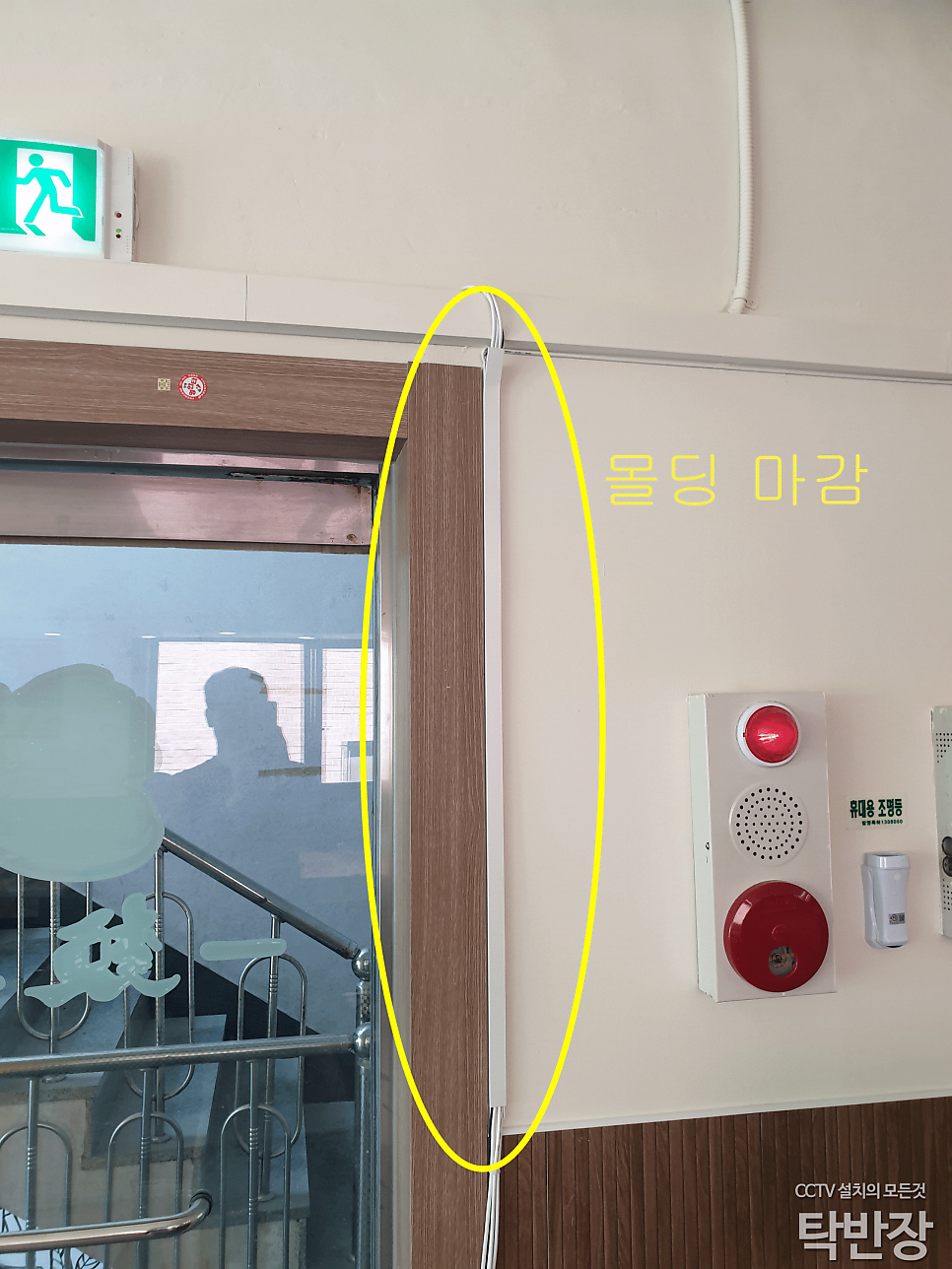 일면지연 사진 4