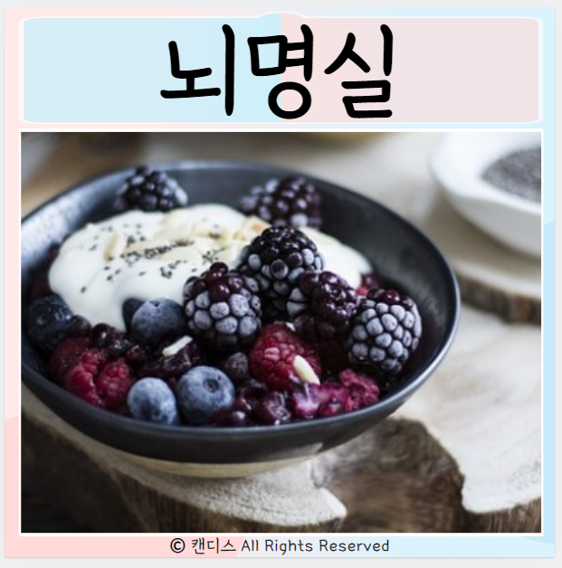  뇌명실 효능은 섭취량은 먹으면 좋은점 부작용