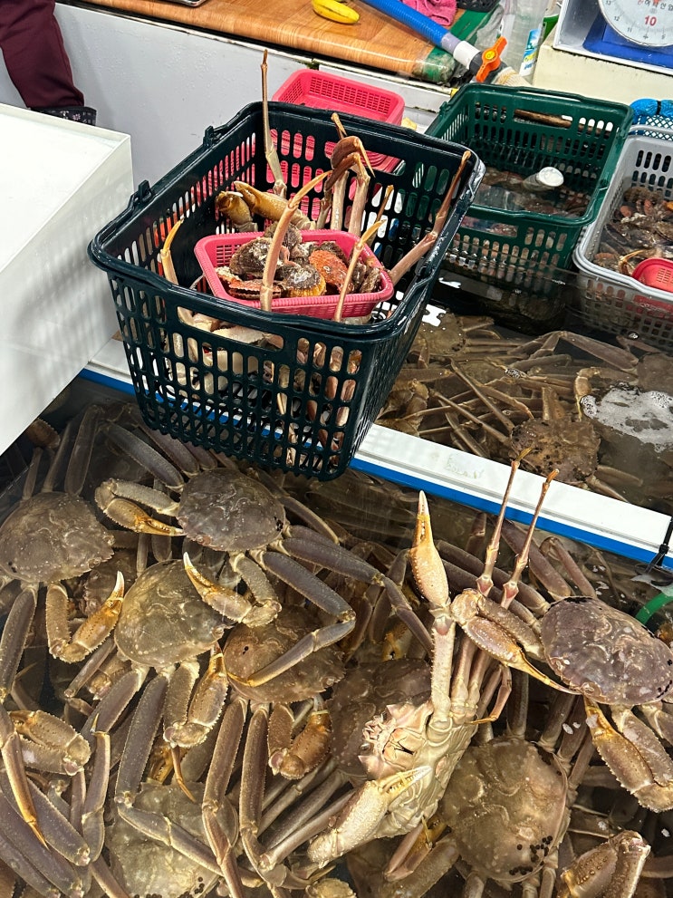  영덕 동광어시장 저렴하게 포장한 대게 솔직후기