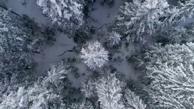  바리스타 자격증 순서 , 바리스타 자격증 학습 최단기간 취득한 과정