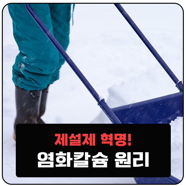  염화칼슘 파는 곳 사업자는 무료배송! 비츠온엠알오 염화칼슘 관리 사용법 알아보세요.