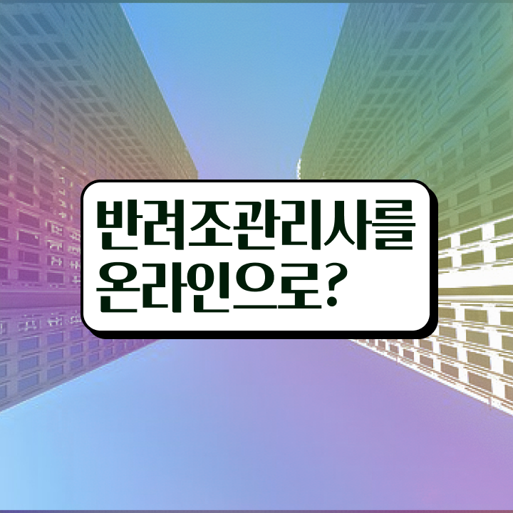  모란앵무 새끼 , 반려조관리사 자격증 쉽고 빠르게 취득한 과정 핵심 정보 가득