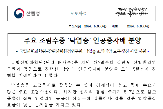 주요 조림수종 ‘낙엽송’ 인공종자배 분양 주요 조림수종 ‘낙엽송’ 인공종자배 분양