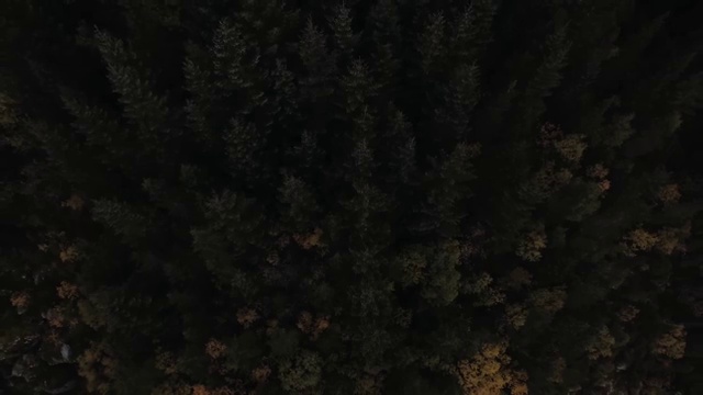  아동미술지도사2급과정 , 아동미술지도사 자격증 온라인 교육으로 취득 정보 , 취업