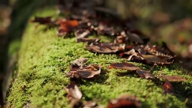  조경산업기사 필답 조경산업기사 시험자격 온라인으로 단기간에 완료한 전략