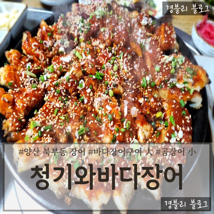  양산 북부동 바다장어 곰장어 맛집 구워 나오는 장어구이 '청기와바다장어'