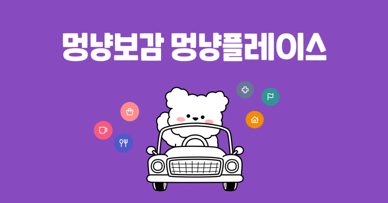 사진 3