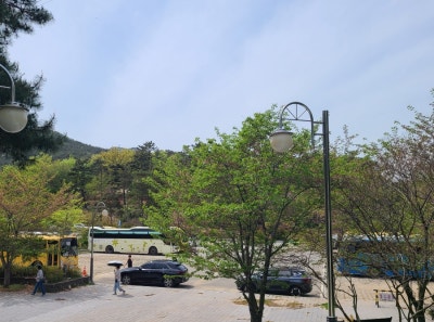 사진 2