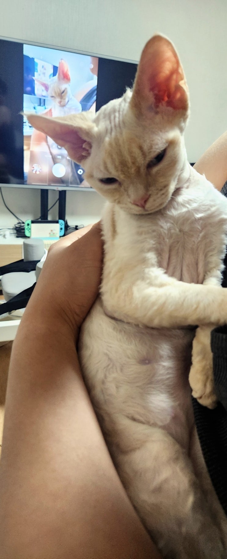  메리블루 블루메리의 일상