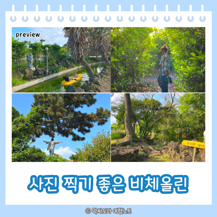  제주 서쪽 힐링테마파크 비체올린 사진찍기 좋은 곳