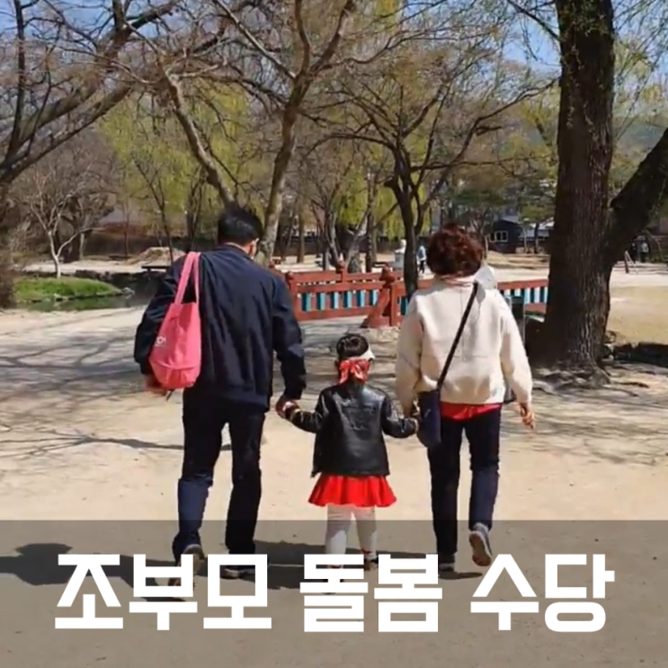  2024년 광주 조부모 돌봄 육아 수당. 손자녀 돌보미 지원 신청자격 방법 필요서류