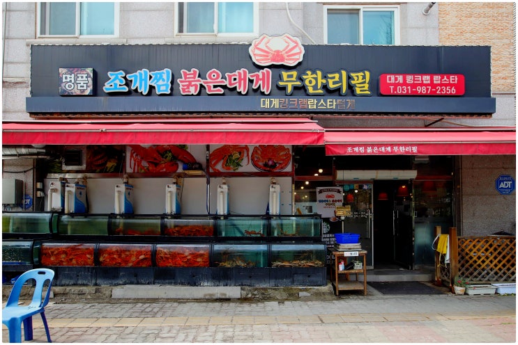  김포ㅣ무한리필이라고 무시말것 대게가 대게 했다! 김포장기동 맛집, 명품대게&붉은대게 무한리필
