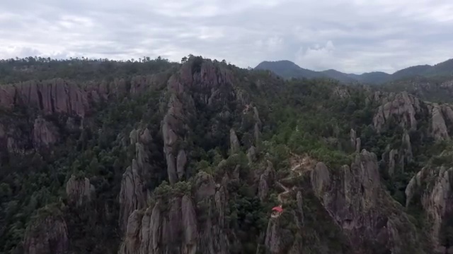  반려동물종합관리사 , 반려동물관리사 자격증 비용없이 온라인으로 학습한 후기 및 온라인 무료강의