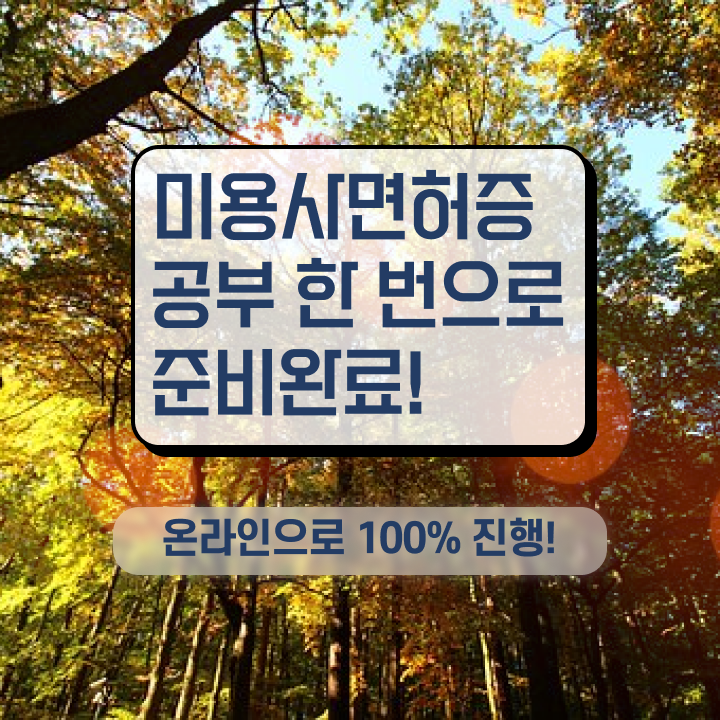  미용사 자격증 필기 평가 보지 않고도 , 독학으로 헤어자격증 따고 샵도 차린 과정