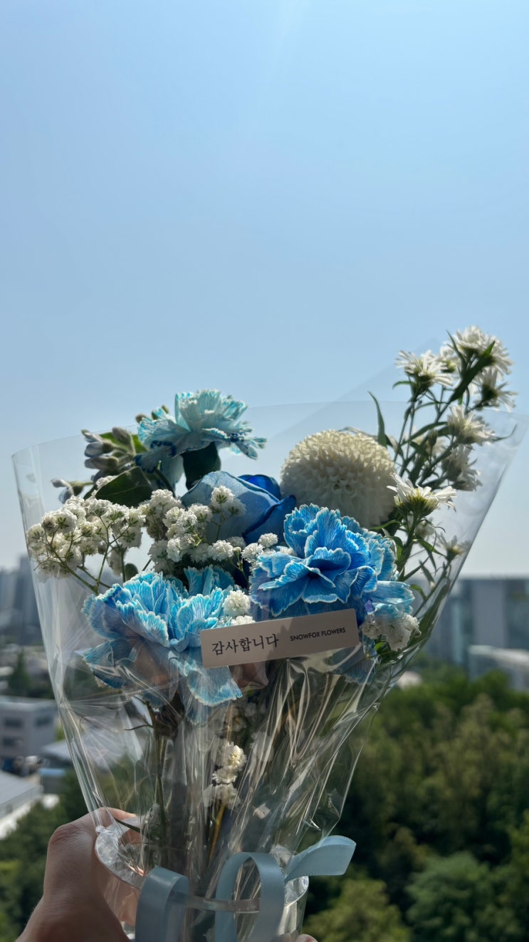  5월은 푸르네요~