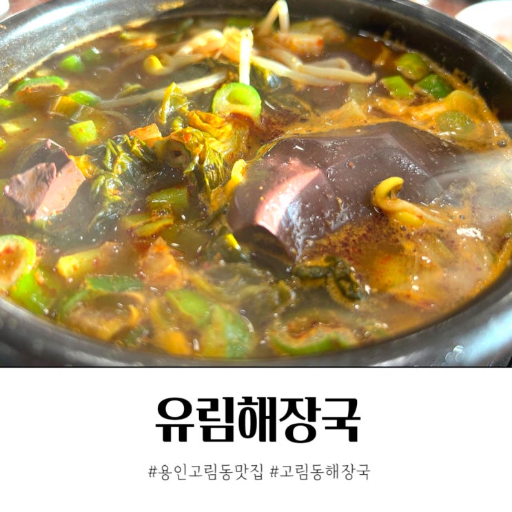  용인 고림동 맛집 유림해장국