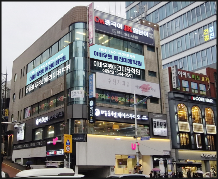  부산애견미용학원 이바우펫 자격증,비용 및 부산2호점 소식!