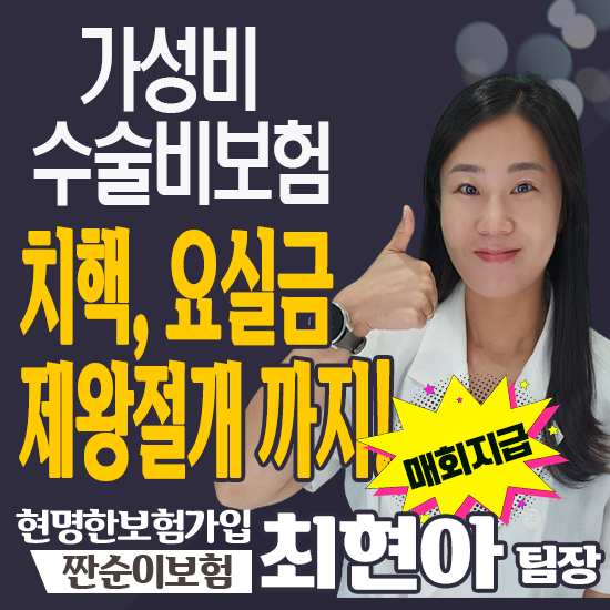  가성비 수술비보험 매회 보장으로 치핵 요실금 제왕절개까지 보장