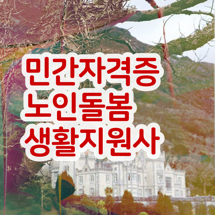  활동지원사 , 노인돌봄생활지원사 온라인으로 취득한 과정