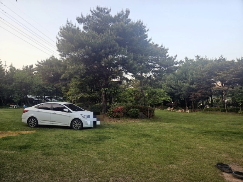 사진 11
