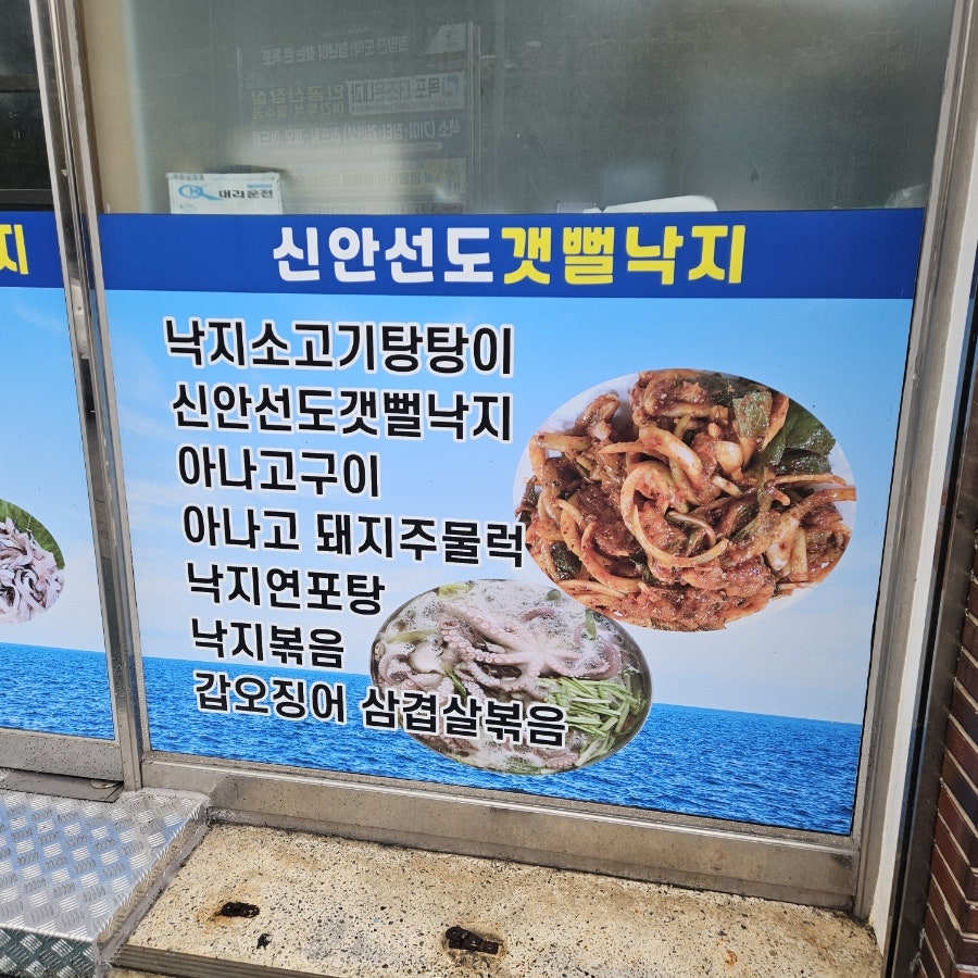 신안선도뻘낙지 사진 3