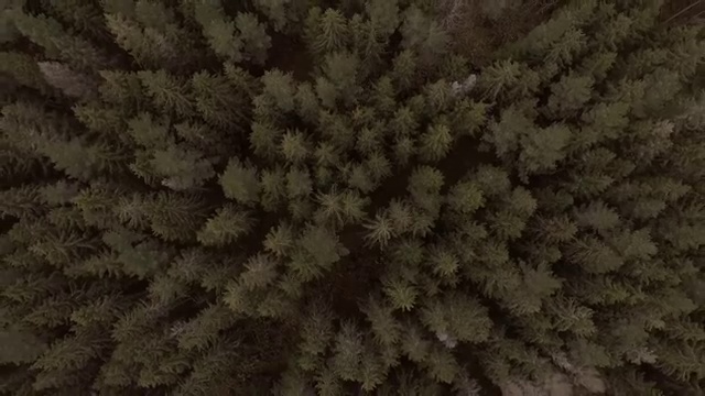  철도차량산업기사 응시조건 철도차량산업기사 응시자격 온라인으로 5개월 만에 끝낸 과정