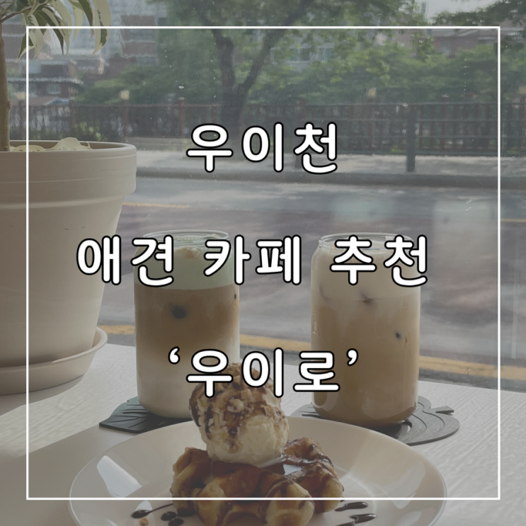  우이천 반려견 산책 후 방문하기 좋은 애견 카페 우이로