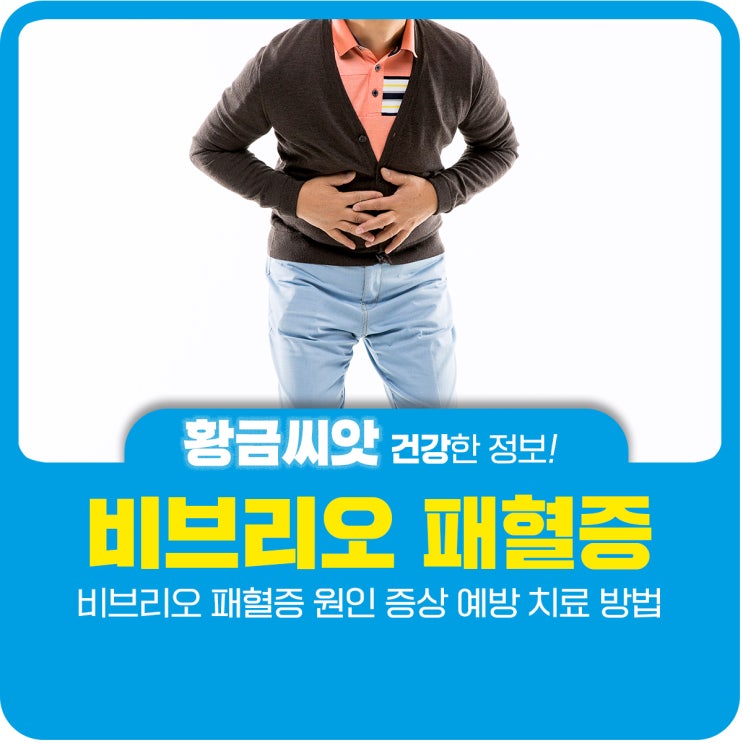  비브리오 패혈증 원인 증상 예방 치료 방법