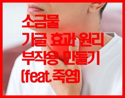  소금물 가글 효과 원리 부작용 만들기 (feat.죽염)