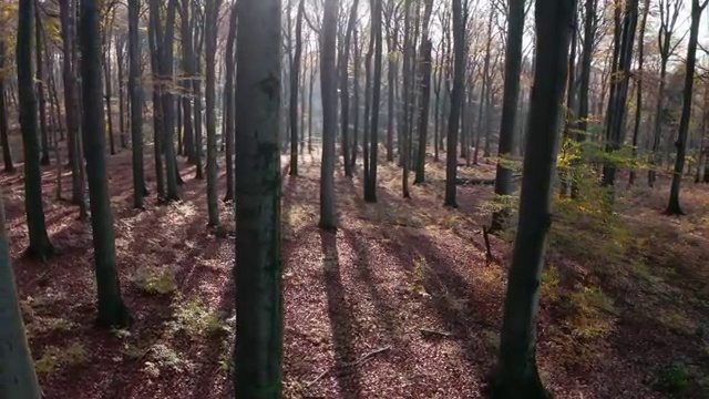  사주 , 심리상담사 자격증 온라인으로 간단히 준비한 방법 및 활용 방법