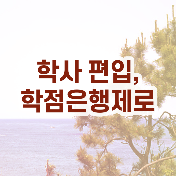  학점은행제시간제수업 졸업증명서 살펴보아요