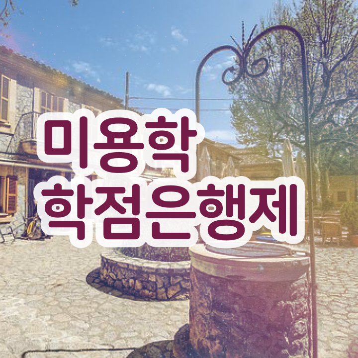  미용 4년제 대학 , 비전공자도 종합미용면허증 끝낼 수 있었어요