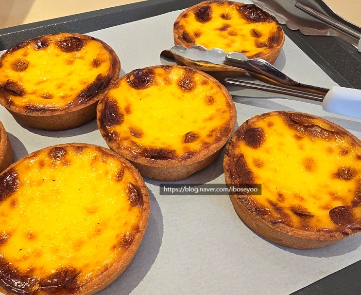  부산 수영 남천동 빵집 빵85 에그타르트 추천 (부산 시청에서 이전)