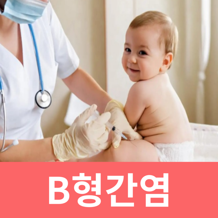  B형간염 항체 음성 양성 검사 전염 증상 예방접종 비용