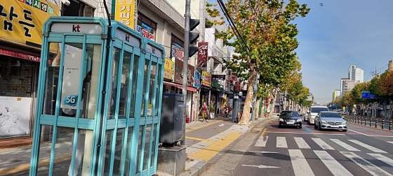 소대박 사진 5