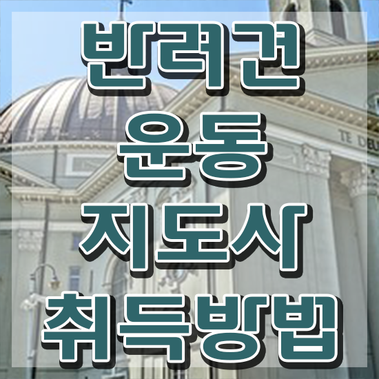  40대여성자격증 , 반려견운동지도사 실무경력 없어도 쉽게 성공한 비법