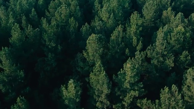  목포 사회복지사2급수강료 ? 사회복지사2급 직장인도 학은제 활용하여 손쉽게